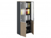 Шкаф NW 2080/2G со стеклом вяз натуральный/антрацит